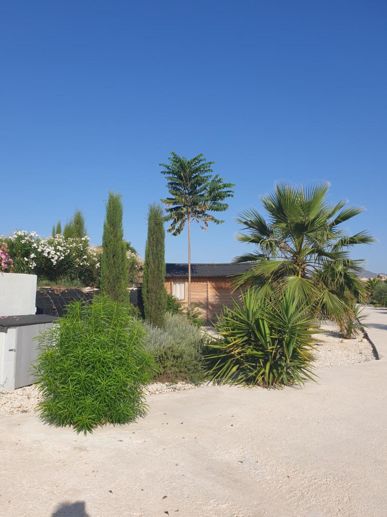 Casa De La Vida Liebetruth A Villa Aspe Exterior photo